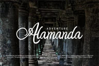 Orlandia Font by Vunira — Script Handwritten Font — thumbnail 4