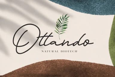 Orlando Font by lickermelody by lickermelody — Script Handwritten Font — thumbnail 7