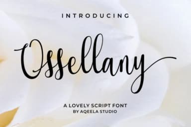 Ossellany Script Font by Aqeela Studio — Script Handwritten Font — thumbnail 1
