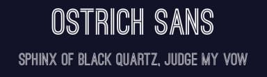 Ostrich Sans by Tyler Finck — Sans Serif Font — thumbnail 2
