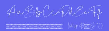 Otegan Signature Script by Fridaytype — Script Handwritten Font — thumbnail 3