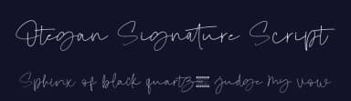 Otegan Signature Script by Fridaytype — Script Handwritten Font — thumbnail 2