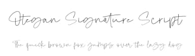 Otegan Signature Script by Fridaytype — Script Handwritten Font — thumbnail 1
