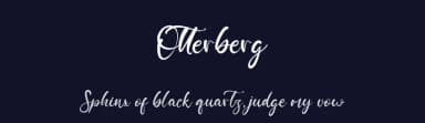 Otterberg by Vztype Studio — Script Handwritten Font — thumbnail 2