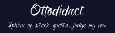 Ottodidact by The Ocean Studio - Laire Banyu Sandi Pawenang — Script Handwritten Font — thumbnail 2