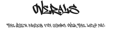 Overals by Ronny Studio — Script Handwritten Font — thumbnail 1