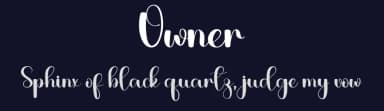 Owner by PiPi Creative STUDIO — Script Handwritten Font — thumbnail 2