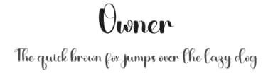 Owner by PiPi Creative STUDIO — Script Handwritten Font — thumbnail 1