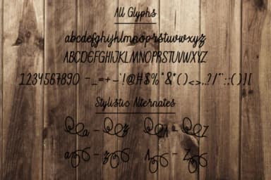 Ozora Script Font by Serin Studio — Script Handwritten Font — thumbnail 5