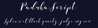 Paduka Script by Linetotype — Script Handwritten Font — thumbnail 2