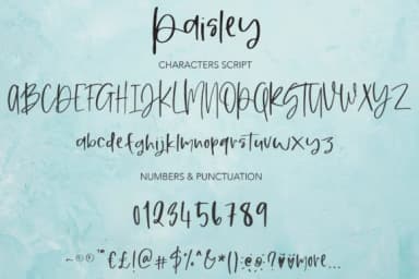 Paisley Font by Studio_Art — Script Handwritten Font — thumbnail 9