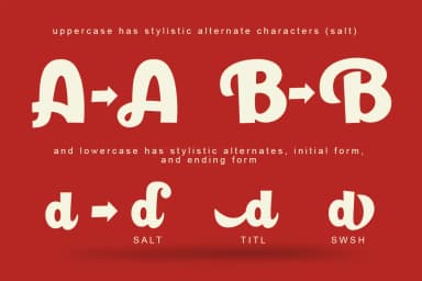 Paladise Font by Lettersiro Co. — Script Handwritten Font — thumbnail 2