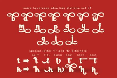 Paladise Font by Lettersiro Co. — Script Handwritten Font — thumbnail 3