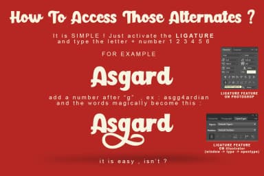 Paladise Font by Lettersiro Co. — Script Handwritten Font — thumbnail 4