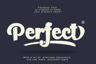 Paladise Font by Lettersiro Co. — Script Handwritten Font — thumbnail 6