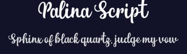 Palina Script by Faras  Dina — Script Handwritten Font — thumbnail 2