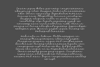 Palleto Font by Mozyen Studio — Script Handwritten Font — thumbnail 2
