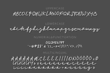 Palleto Font by Mozyen Studio — Script Handwritten Font — thumbnail 3