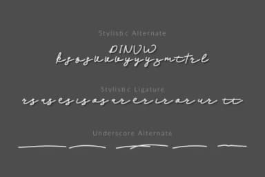 Palleto Font by Mozyen Studio — Script Handwritten Font — thumbnail 4