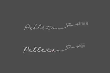 Palleto Font by Mozyen Studio — Script Handwritten Font — thumbnail 5