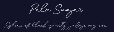 Palm Sugar by Etigletters — Script Handwritten Font — thumbnail 2