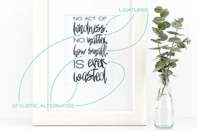 Palma Nana Font by Anastasiia Macaluso — Script Handwritten Font — thumbnail 3