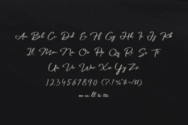 Palmark Font by tkztype — Script Handwritten Font — thumbnail 3