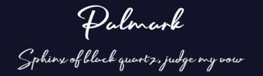 Palmark by tkzgraphic — Script Handwritten Font — thumbnail 2