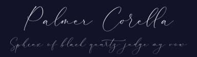 Palmer Corella by Storytype Studio — Script Handwritten Font — thumbnail 2