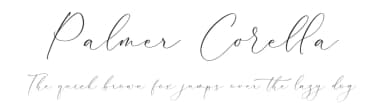 Palmer Corella by Storytype Studio — Script Handwritten Font — thumbnail 1