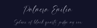 Palmera Emilia by Aestherica Studio — Script Handwritten Font — thumbnail 2