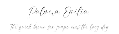 Palmera Emilia by Aestherica Studio — Script Handwritten Font — thumbnail 1
