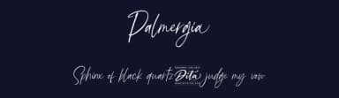 Palmergia by Ditatype — Script Handwritten Font — thumbnail 2