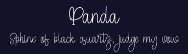 Panda by Inermedia Studio — Script Handwritten Font — thumbnail 2