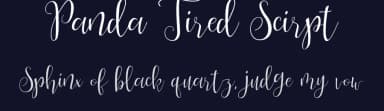 Panda Tired Scirpt by Zulfan Iskandar — Script Handwritten Font — thumbnail 2