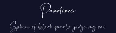 Panelines by Dav studio — Script Handwritten Font — thumbnail 2