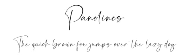 Panelines by Dav studio — Script Handwritten Font
