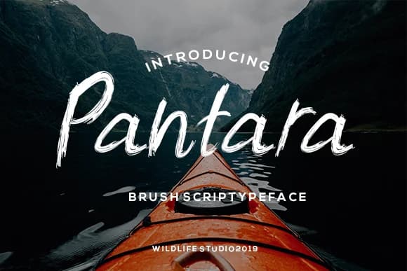 Pantara Font by wildlifestudio19 — Script Handwritten Font