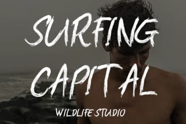 Pantara Font by wildlifestudio19 — Script Handwritten Font — thumbnail 5