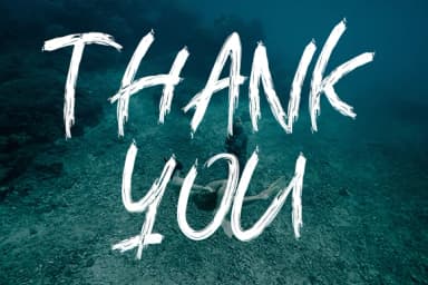 Pantara Font by wildlifestudio19 — Script Handwritten Font — thumbnail 7