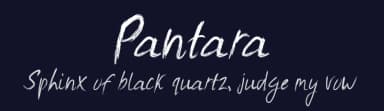 Pantara by Wildlife Studio — Script Handwritten Font — thumbnail 2