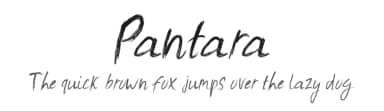 Pantara by Wildlife Studio — Script Handwritten Font — thumbnail 1