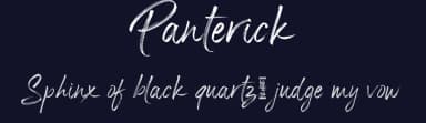 Panterick by Debut Studio — Script Handwritten Font — thumbnail 2