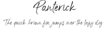 Panterick by Debut Studio — Script Handwritten Font — thumbnail 1