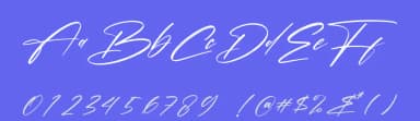Pantherdam Signature by Letterena Studios — Script Handwritten Font — thumbnail 3