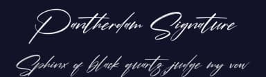 Pantherdam Signature by Letterena Studios — Script Handwritten Font — thumbnail 2