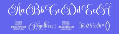 Papillion by Måns Grebäck — Script Handwritten Font — thumbnail 3