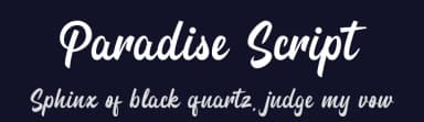 Paradise Script by GoldenGraph Design — Script Handwritten Font — thumbnail 2