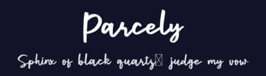 Parcely by Craft Supply Co. — Script Handwritten Font — thumbnail 2