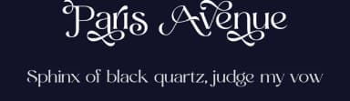 Paris Avenue by Prioritype Co — Serif Font — thumbnail 2